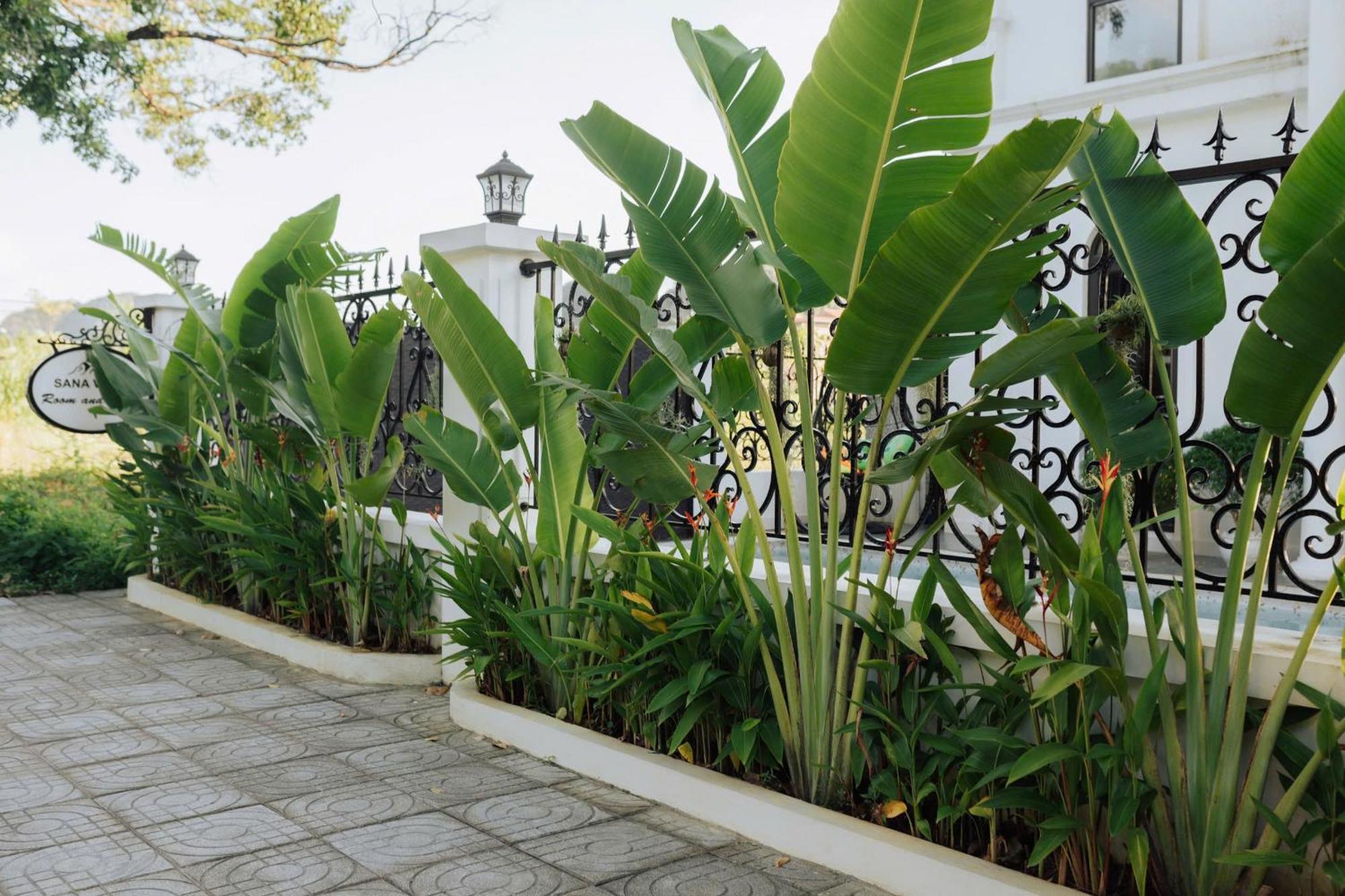 Tam Coc Sana Villa & Homestays Ninh Bình Extérieur photo